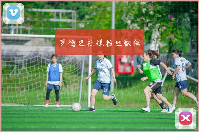 罗德里社媒粉丝翻倍